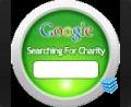 web design thumbnail - Searching For Charity Windows Vista gadget