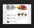 Web design and web development thumbnail of Pretoria Portuguese youth Committee Web Site