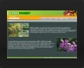 Web design and web development thumbnail of Urban Forest Web Site (v1)