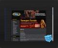 web design thumbnail - Dieting Tips page