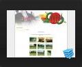 web design thumbnail - Gallery page