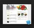 web design thumbnail - Home page